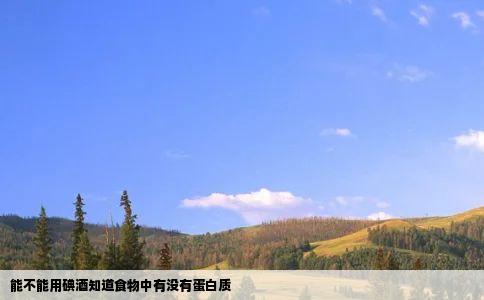 能不能用碘酒知道食物中有没有蛋白质