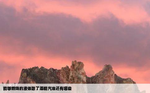 能够燃烧的液体除了酒精汽油还有哪些