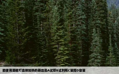 能使用酒精灯直接加热的器皿是A试管B试剂瓶C量筒D容量