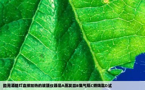 能用酒精灯直接加热的玻璃仪器是A蒸发皿B集气瓶C燃烧匙D试