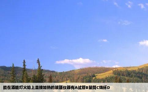 能在酒精灯火焰上直接加热的玻璃仪器有A试管B量筒C烧杯D