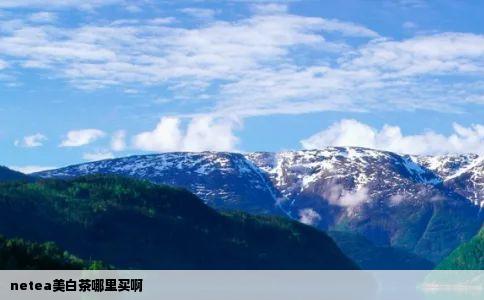 netea美白茶哪里买啊