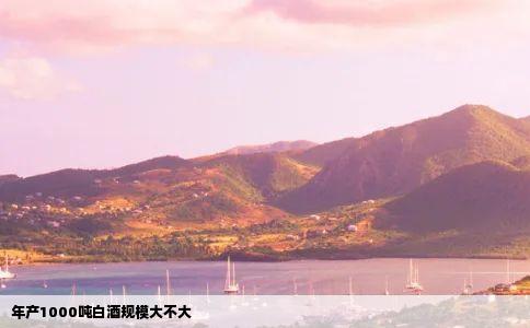 年产1000吨白酒规模大不大