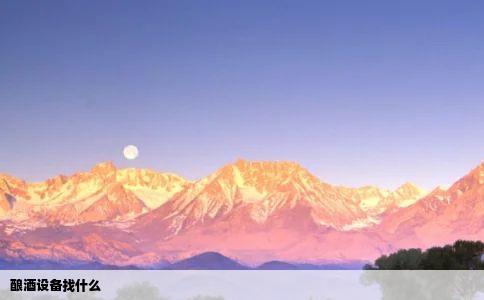 酿酒设备找什么