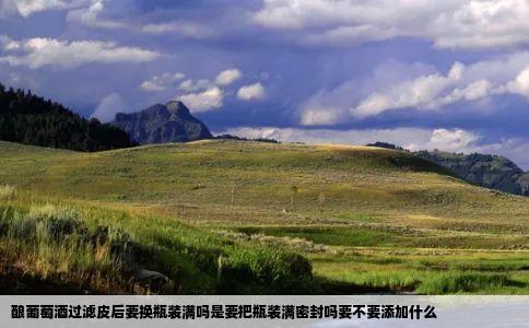 酿葡萄酒过滤皮后要换瓶装满吗是要把瓶装满密封吗要不要添加什么