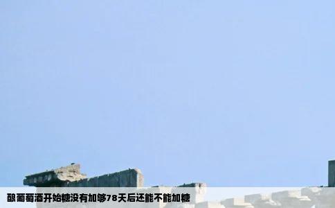 酿葡萄酒开始糖没有加够78天后还能不能加糖