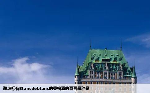 酿造标有Blancdeblanc的香槟酒的葡萄品种是