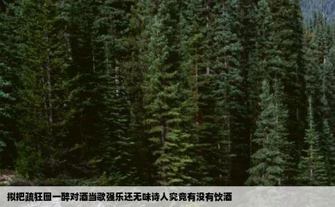 拟把疏狂图一醉对酒当歌强乐还无味诗人究竟有没有饮酒