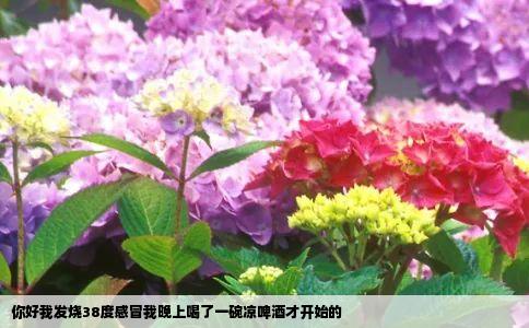 你好我发烧38度感冒我晚上喝了一碗凉啤酒才开始的