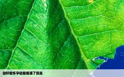 你好我怀孕初期喝酒了但是