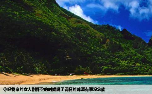 你好我家的女人刚怀孕的时候喝了两杯的啤酒有事没您能