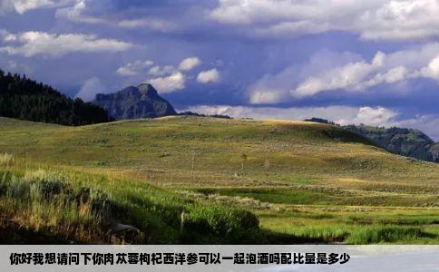 你好我想请问下你肉苁蓉枸杞西洋参可以一起泡酒吗配比量是多少