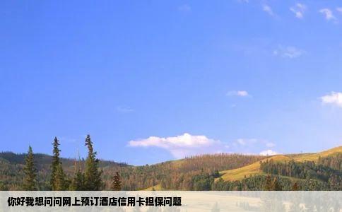你好我想问问网上预订酒店信用卡担保问题
