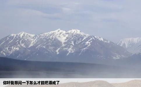 你好我想问一下怎么才能把酒戒了