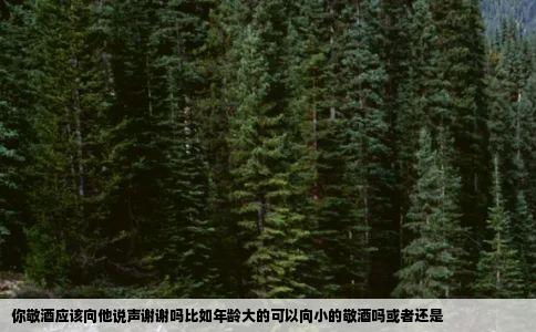 你敬酒应该向他说声谢谢吗比如年龄大的可以向小的敬酒吗或者还是