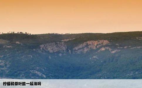 柠檬和茶叶能一起泡吗