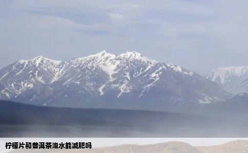 柠檬片和普洱茶泡水能减肥吗