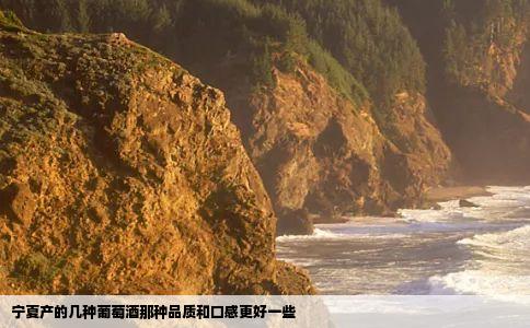 宁夏产的几种葡萄酒那种品质和口感更好一些