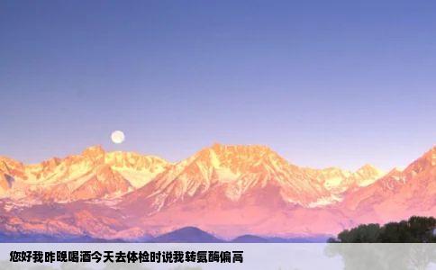您好我昨晚喝酒今天去体检时说我转氨酶偏高
