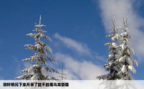 您好想问下来月事了能不能喝乌龙茶喝