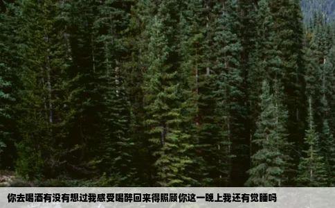 你去喝酒有没有想过我感受喝醉回来得照顾你这一晚上我还有觉睡吗