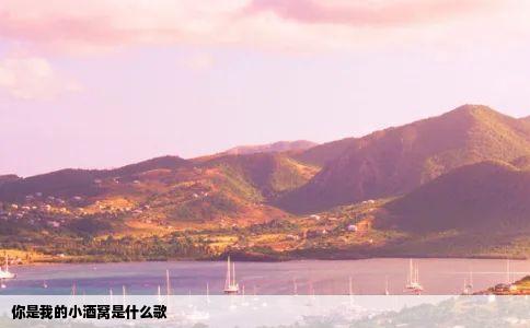 你是我的小酒窝是什么歌