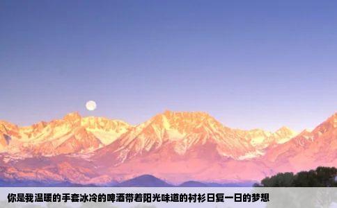 你是我温暖的手套冰冷的啤酒带着阳光味道的衬衫日复一日的梦想