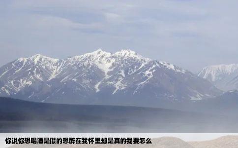 你说你想喝酒是假的想醉在我怀里却是真的我要怎么