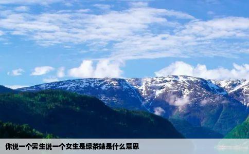 你说一个男生说一个女生是绿茶婊是什么意思