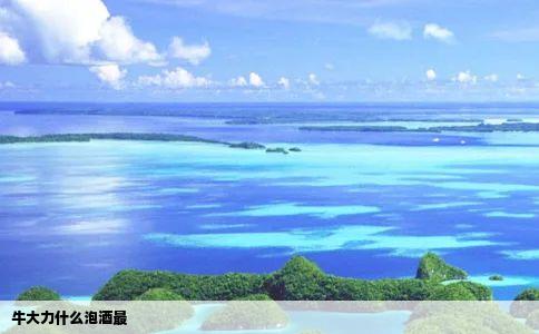 牛大力什么泡酒最