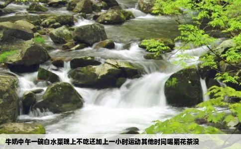 牛奶中午一碗白水菜晚上不吃还加上一小时运动其他时间喝菊花茶没