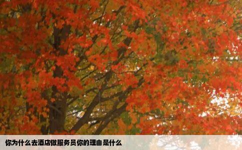 你为什么去酒店做服务员你的理由是什么