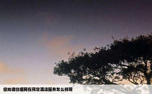 你知道住哪网在预定酒店服务怎么样啊