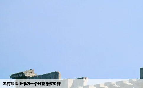 农村酿酒小作坊一个月能赚多少钱