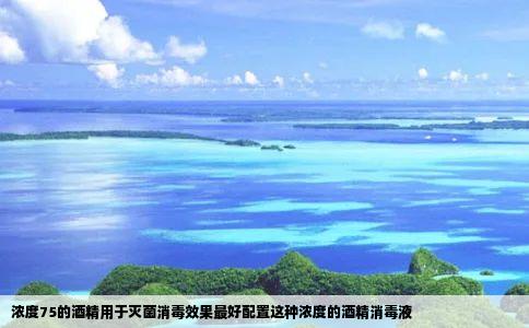 浓度75的酒精用于灭菌消毒效果最好配置这种浓度的酒精消毒液