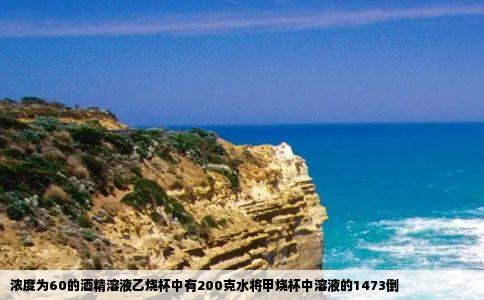 浓度为60的酒精溶液乙烧杯中有200克水将甲烧杯中溶液的1473倒