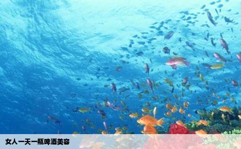 女人一天一瓶啤酒美容