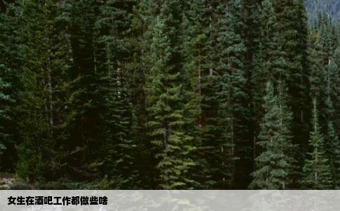 女生在酒吧工作都做些啥