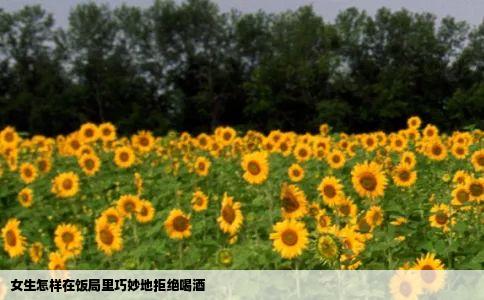 女生怎样在饭局里巧妙地拒绝喝酒