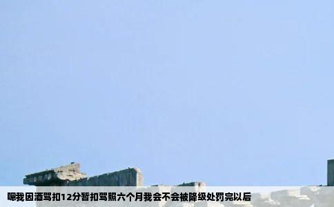 嗯我因酒驾扣12分暂扣驾照六个月我会不会被降级处罚完以后