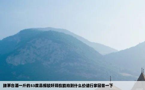 牌茅台酒一斤的53度品相较好现在能拍到什么价请行家回答一下