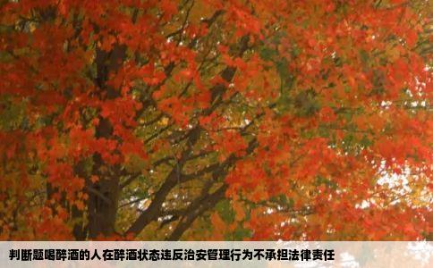 判断题喝醉酒的人在醉酒状态违反治安管理行为不承担法律责任