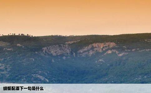 螃蟹配酒下一句是什么