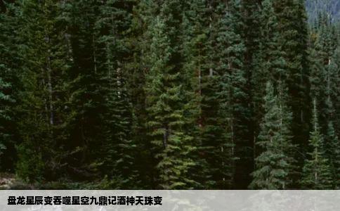 盘龙星辰变吞噬星空九鼎记酒神天珠变