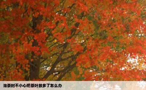 泡茶时不小心把茶叶放多了怎么办