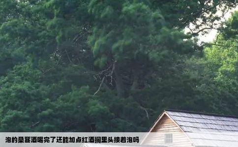 泡的桑葚酒喝完了还能加点红酒搁里头接着泡吗