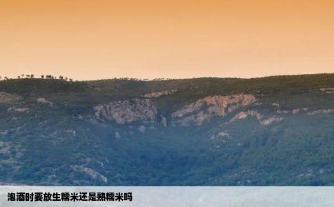 泡酒时要放生糯米还是熟糯米吗