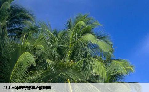 泡了三年的柠檬酒还能喝吗