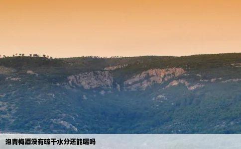 泡青梅酒没有晾干水分还能喝吗