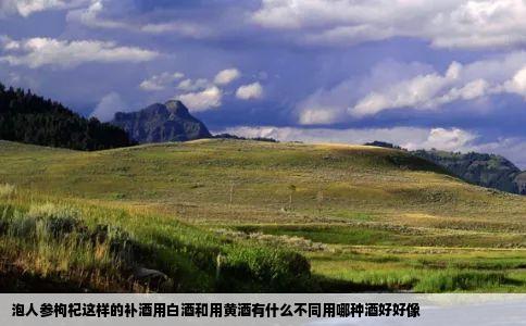 泡人参枸杞这样的补酒用白酒和用黄酒有什么不同用哪种酒好好像